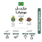 ⁦محصول موجيانا -محمصة coda البرازيل  250 جرام⁩ - الصورة ⁦2⁩